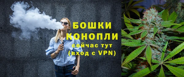 дживик Дмитров