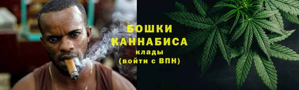 дживик Дмитров