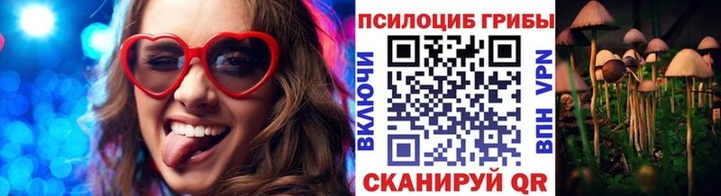Галлюциногенные грибы ЛСД  Купить  Михайловск 